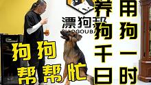 【养狗小白入门指南】养狗千日，用狗一时，狗狗拿水训练方法！
