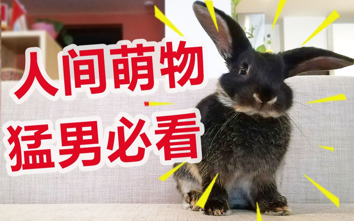 法式传统红酒酱汁+黑椒牛排 ！法国大厨卢克爷爷在线教你 ：快拿小本本记下吧！！！