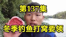 冬季钓鱼，为什么打完窝子就停口？1分钟道破冬季钓鱼打窝的要领