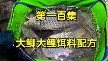 野钓鲫鱼鲤鱼爆护饵料配方，深水浅水走水，皆可擒获大鲫鱼大鲤鱼