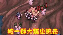 饥荒哈姆雷特6：进入丛林，没想到出现一群变异大瓢虫，追着我打