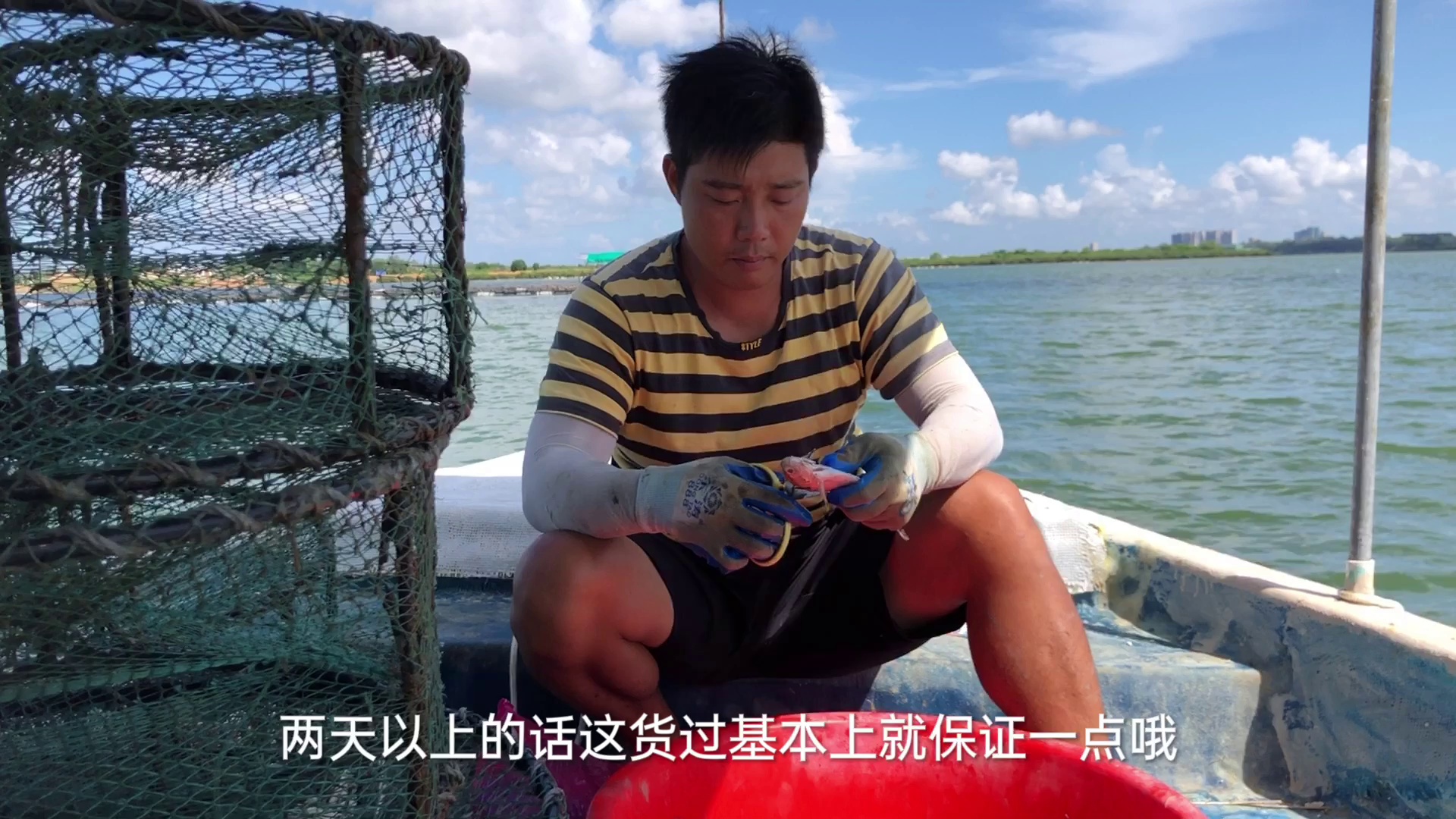 上海小姐姐花680包螃蟹笼，阿兴都想不到抓到这么多青蟹，赚了