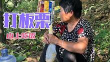 爬40分钟的山路只为采摘板栗，中午吃饭都是在山上解决，太不容易