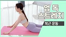 업 독 스트레치ㅣUp Dog Stretchㅣ더 바디핏-3ㅣBerryTV fitness