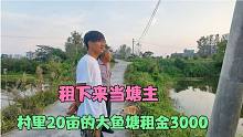 小伙想花3000块承包村里的大鱼塘，听了舅舅的话老婆有点担忧