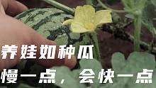 养娃如种瓜 | 慢一点，也许会更快一些