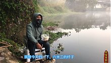 又到了钓土鲮的季节，钓几条回家做“豆豉鲮鱼”