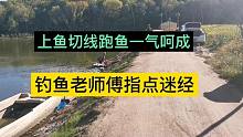 上鱼切线跑鱼一气呵成，新手不知其中原因，老师傅为其指点迷经！