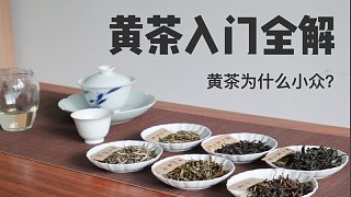 【六大茶类5】黄茶基础入门干货全解析，黄茶为何如此小众？