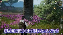 《黎明觉醒》如何获得基础材料，皛志教你如何砍树与采集