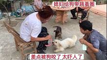 媳妇让给狗狗带跳蚤圈，弟弟和老公都不敢，只有女汉子亲自出马了