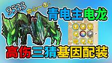 【怪猎物语2】青电主电龙三猜基因配装！