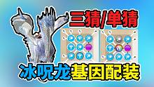 【怪猎物语2】冰呪龙三猜/单猜基因配装