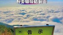 为什么那么多人喜欢爬梧桐山？凌晨开始徒步，看到日出云海是怎样一种体验？瞬间让你心旷神怡。 #泡茶哥户