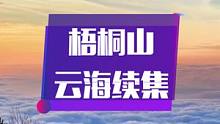 为什么那么多人喜欢爬梧桐山，这不仅仅只是爬山，还能带给你各种奇特景观，比如罕见的日出云海。 #泡茶哥