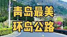 这里是青岛最美又最治愈的环岛山海公路，全程10公里，没有一个红绿灯，右边全是绝美的亲海公园和免费的看
