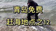 #赶海 #海鲜 关注我，带你看遍青岛的野山野水（视频背景歌曲由青岛歌手陈柠柠演唱）