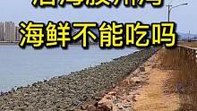 关注我，带你看遍青岛的野山野水（视频背景歌曲由青岛歌手陈柠柠演唱）