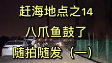 #赶海 #海鲜 关注我，带你看遍青岛的野山野水（视频背景歌曲由青岛歌手陈柠柠演唱）
