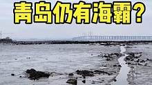 #赶海 #海鲜 关注我，带你看遍青岛的野山野水（歌曲由青岛歌手陈柠柠演唱）