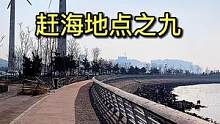#赶海 #海鲜 关注我，带你看遍青岛的野山野水（视频歌曲由青岛歌手陈柠柠演唱）