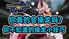 【怪物猎人崛起】操龙的正确姿势你掌握了吗？