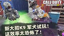 体验服新大招"K9"猎犬试玩!这效率太恐怖了!【使命召唤手游】
