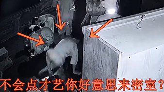 HOMAS赫馬士戶外直播_HOMAS赫馬士視頻直播 - 虎牙直播