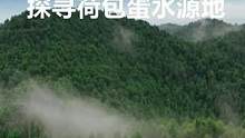 走进丰都县凤凰咀山，穿越森林和峡谷，去探寻大山深处的深层泉水