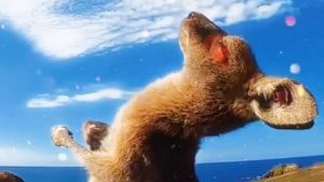 这个袋鼠摇手也太治愈了叭,模板来了哟,快叫你的臭宝给你拍.