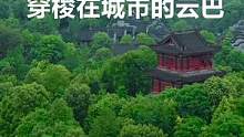 一个建在青山绿水里的公园之城“璧山”你怎能不爱？#科技璧山炫酷云巴