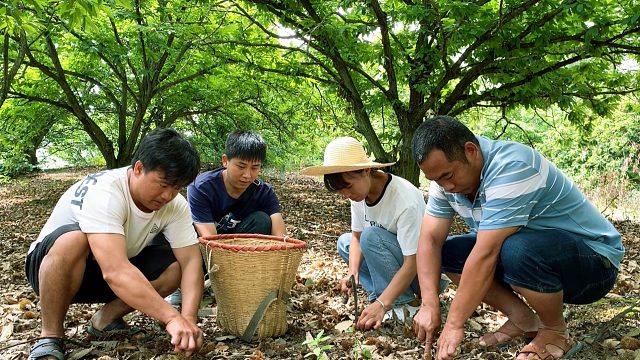 鄉村野光視頻_鄉村野光直播視頻_鄉村野光精彩視頻集錦_虎牙視頻