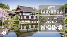 Spice 日本 | 京都人少的賞櫻秘境，看完就能規劃好的 5 條路線攻略：日本旅遊 櫻花 關西