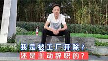 我到底是被工厂开除还是主动辞职？是我做事过分还是老板小肚鸡肠