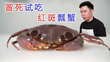 巨大 东海龙王 藜海老 顶级海螯虾刺身 吃一只就饱了 虎牙视频 巨大 东海龙王 藜海老 顶级海螯虾刺身 吃一只就饱了 虎牙视频