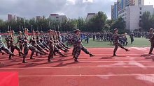 特别喜欢的军训视频