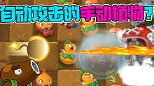 植物大战僵尸：PVP的奇怪现象！手动植物变成了自动植物？