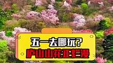 带你去庐山看山花烂漫，可好？#五一出游抢人大赛#不负春光嘉游赣 #庐山