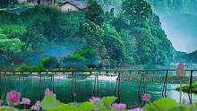 绿水青山烟雨中，渔樵耕读石桥行，此景只应天上有，岂知今日落凡尘！#荷花  #世外隐居  #治愈 