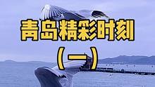 青岛精彩时刻（一）你今年还来栈桥看海鸥吗？关注我，带你看遍青岛的野山野水。