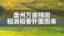 盘州万亩梯田又上央视了！#很贵州 #戒不掉的贵州味道
