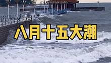 八月十五大潮，关注我，带你看遍青岛的野山野水。