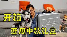 开箱西瓜官方送的中秋大礼包，狗狗们激动得上蹿下跳，好奇心爆表