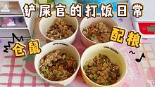 铲屎官的打饭日常，给金丝熊仓鼠配粮啦！