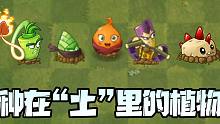 无聊的盘点！你知道有哪些种在土里的植物吗？