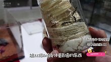 个子小小，力气大大，你猜是啥【爬宠阁】