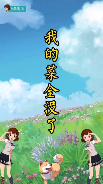 小森日常系列 : 跑遍所有的野外地图