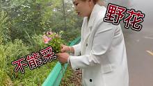 星妹和妹妹上山游玩，忽悠妹妹吃了野果，还顺手做了束捧花送谁好