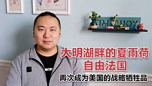 法国再一次成为美国的战略牺牲品，美国独立、一战二战，年年如此
