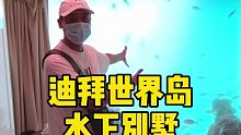 水下别墅！揭秘迪拜世界岛的又一奇迹！